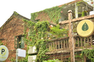 绿植环绕的复古风建筑