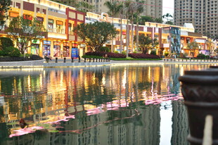 城市水边夜景倒影之美