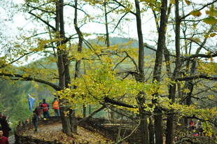 秋日山林徒步景象