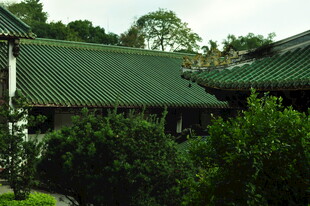 中式庭院景观 绿植环绕