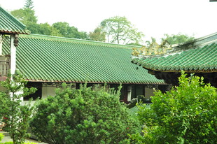 中式绿瓦建筑旁的绿植