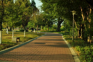 公园中的红砖林荫步道