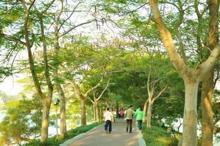 林间漫步道上的休闲行人