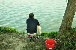 男子岸边独坐临水垂钓