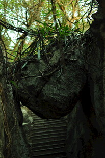 藤蔓缠绕的石阶山洞景观