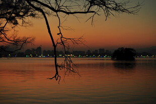 湖畔黄昏景 枯枝映霞光
