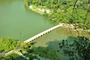 湖上长桥伴绿意