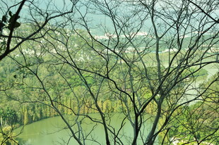 俯瞰葱郁山林与蜿蜒河流