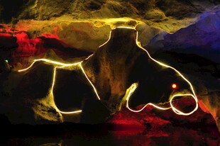 梦幻光影勾勒的神秘轮廓