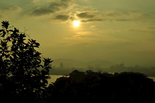 夕阳下的树木与朦胧天际