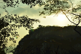 林间晨曦下的山峦景色