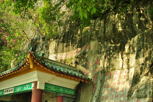 山间古亭隐于葱郁草木间