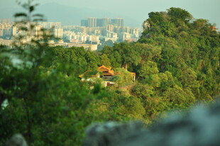山林间的城市远景风光