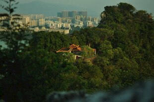 山林间远眺城市景观