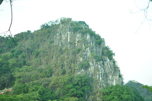 翠绿山峦 岩石隐于植被间