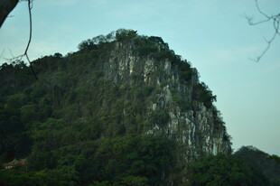 巍峨青山绿意浓