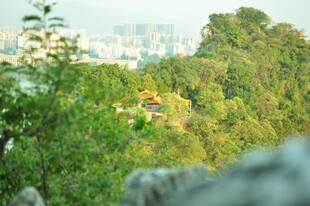 山林间远眺城市景色