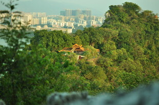 山林间的中式建筑景观