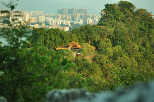 山林间俯瞰城市景观