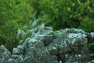 山间嶙峋怪石与葱郁植被