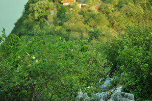 绿意盎然的山丘景观