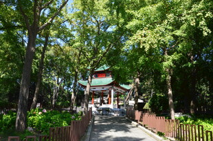 公园风景  