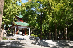 公园风景  