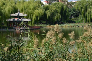 公园风景  