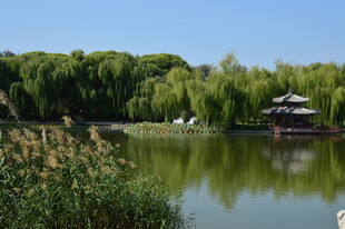 公园风景 