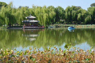 公园风景  