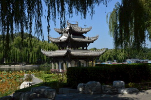 公园风景 
