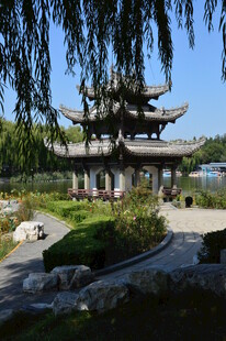 公园风景  