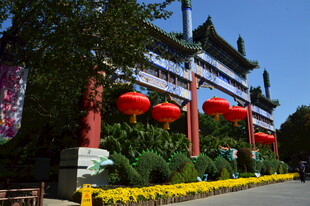 公园风景  