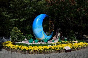公园风景  
