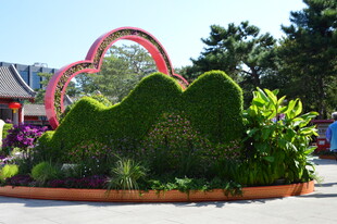 公园风景 