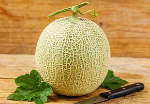 木桌上的网纹甜瓜