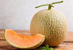哈密瓜