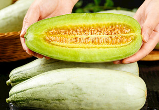 手捧切开的羊角蜜