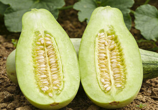 切开的羊角甜瓜