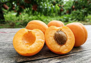 黄杏摆放在木桌上