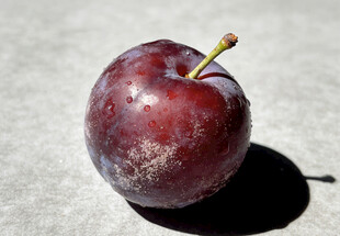 紫黑色李子特写