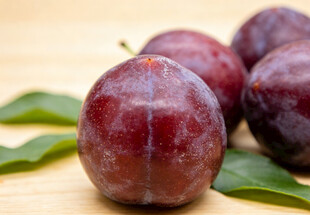紫李子