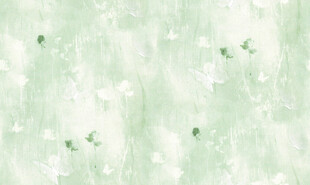 淡绿色花卉纹理背景图