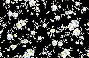 黑色背景上的白色碎花图案