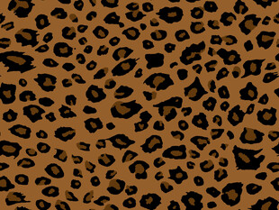 豹纹图案纹理背景