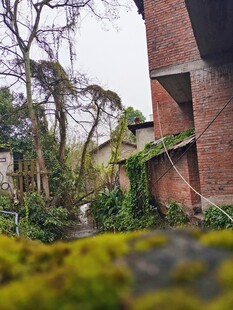 红砖建筑旁的绿植景观