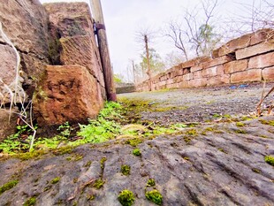 古老石墙下的青苔小径
