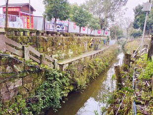 古村小河畔的自然景致