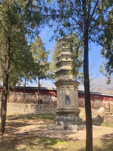 古寺旁的石塔与林间景致