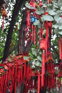 树上祈福红绸与许愿牌